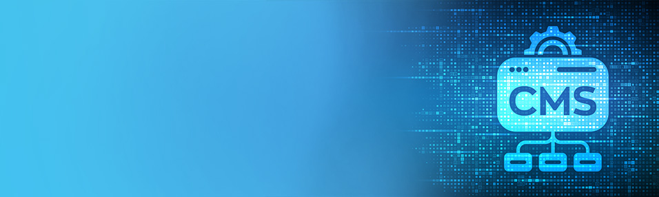 Custom CMS Development Platform-CTA